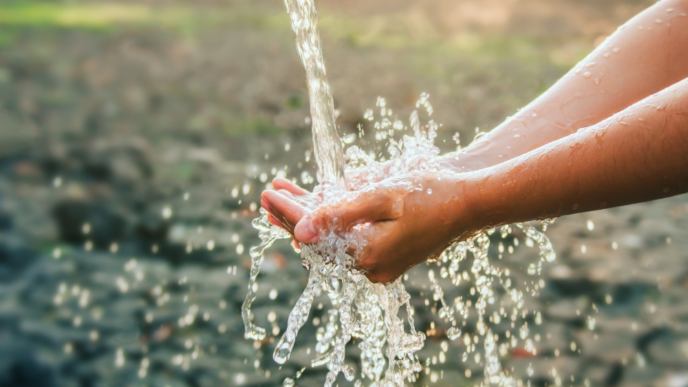 Reliability in the field