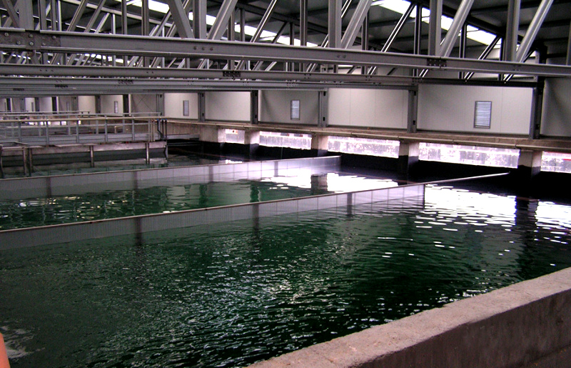 Village wastewater treatment system